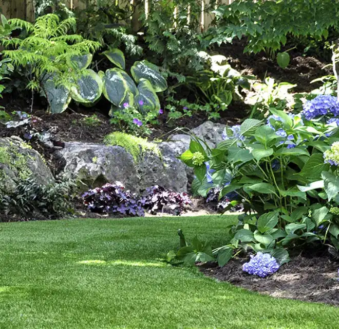 A lush backyard lawn, framed by flower beds with a variety of plants.