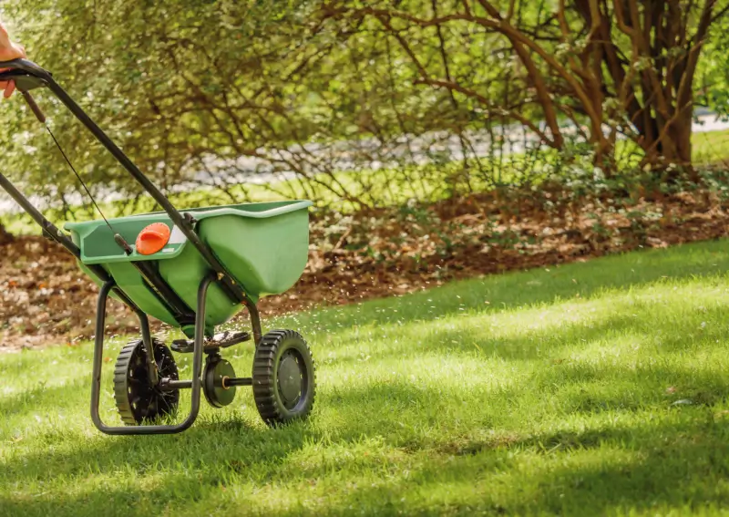 Landscaper applying fertilizer to grass.